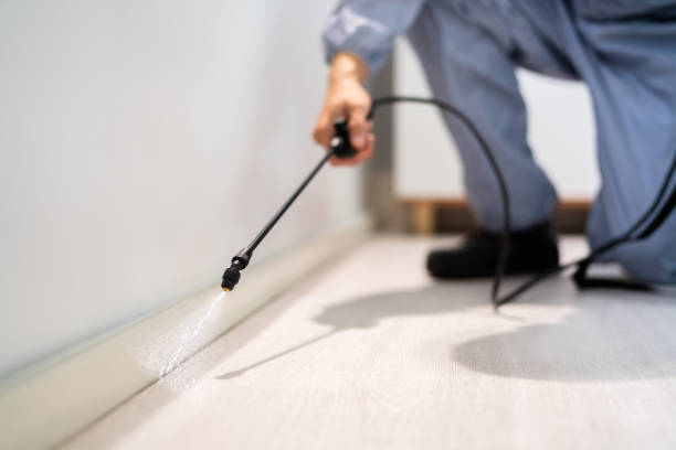 Bed Bug Pre-Treatment Preparation Assessment in North Puyallup