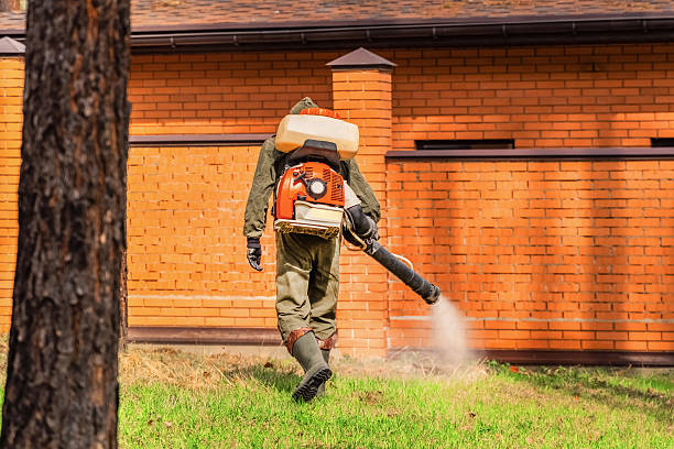 Bed Bug Clearance Verification and Documentation in North Puyallup